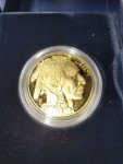 2006-W American Buffalo Gold Proof Coin - 1 oz