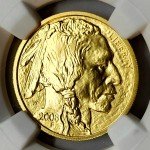2008 W Burnished Gold American Buffalo Coin MS70