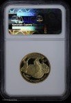 2008 $25 1/2 oz Gold Buffalo Coin - PF 70