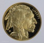 2008 $25 1/2 oz Gold Buffalo Coin - PF 70