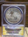 Buffalo Silver Coin with Real Spider Imprint