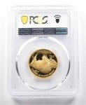 2008-W $25 American Gold Buffalo Coin - PR70