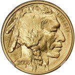 2008 W Burnished $25 Gold American Buffalo Coin