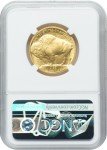 2008 W Burnished $25 Gold American Buffalo Coin
