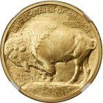 2008 W Burnished $25 Gold American Buffalo Coin