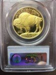 2008 W Gold American Buffalo Coin Proof Set
