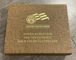 2008 W American Buffalo 1/10 Oz Gold Coin