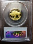 2008 W Gold American Buffalo Coin Proof Set