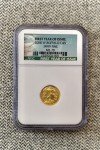 2008-W American Buffalo Gold Coin - 1/10 oz