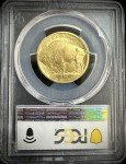 2008-W Burnished American Buffalo 1/2 oz Gold Coin