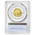 2008-W $10 Burnished American Buffalo Gold Coin