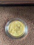 2008 W $10 1/4 Ounce Gold Buffalo Coin