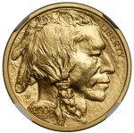 2008 W Burnished $10 Gold American Buffalo Coin