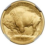 2008 W Burnished $10 Gold American Buffalo Coin