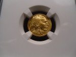 2008-W MS70 Gold Buffalo Coin 1/10oz .9999 Fine