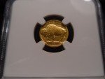 2008-W MS70 Gold Buffalo Coin 1/10oz .9999 Fine