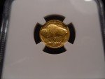 2008-W MS70 Gold Buffalo Coin 1/10oz .9999 Fine