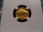 2008-W MS70 Gold Buffalo Coin 1/10oz .9999 Fine