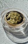 2008-W $5 Buffalo Gold Coin - Ultra Cameo