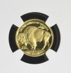 2008 $5 1/10 Oz American Buffalo Gold Coin
