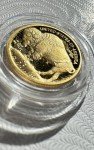 2008-W $5 Buffalo Gold Coin - Ultra Cameo