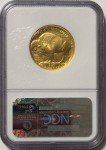 2008 W 1/2 Oz Gold Buffalo Coin MS70