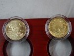 2008 US Mint Eagle & Buffalo Gold Coin Set