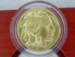 2008 US Mint Eagle & Buffalo Gold Coin Set