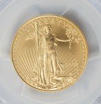 2008W $25 American Gold Eagle & Buffalo Set