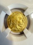 2008 1/10 Oz Gold American Buffalo Coin MS70