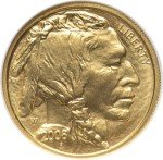 2008 W Burnished $5 Gold American Buffalo Coin