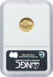 2008 W Burnished $5 Gold American Buffalo Coin