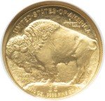 2008 W Burnished $5 Gold American Buffalo Coin