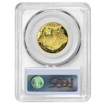 2008-W $25 American Gold Buffalo 1/2 oz Coin