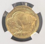2008-W $10 American Gold Buffalo Coin MS69