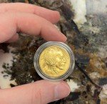 2008-W $25 American Gold Buffalo 1/2oz Coin