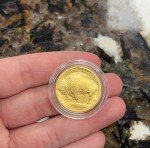 2008-W $25 American Gold Buffalo 1/2oz Coin