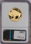 2008-W Gold Buffalo Coin 1/2 oz. PF70 UC