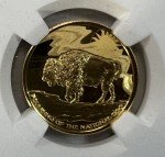 2019 Buffalo at the Castle 1/4 oz Gold Coin