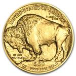 2025 1 oz American Gold Buffalo Coin