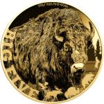 2024 Buffalo Gold Coin - American Bison