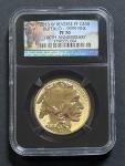 2013 Gold Buffalo 1 oz Reverse Proof Coin
