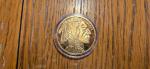 2023 $50 Gold Plated Buffalo Tribute Coin