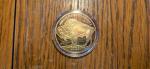 2023 $50 Gold Plated Buffalo Tribute Coin