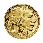 2023 W American Gold Buffalo Proof Coin 1 oz