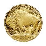 2023 W American Gold Buffalo Proof Coin 1 oz
