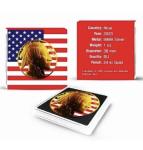 2023 American Buffalo Gold Gilded Flag Coin