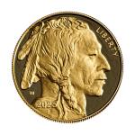 2025-W $50 1 oz Proof American Gold Buffalo Coin