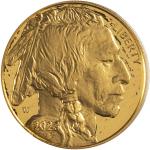 2023-W 1 oz American Gold Buffalo Coin