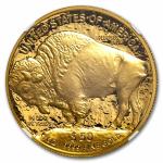 2025-W 1 oz Gold Buffalo Proof Coin PF-70